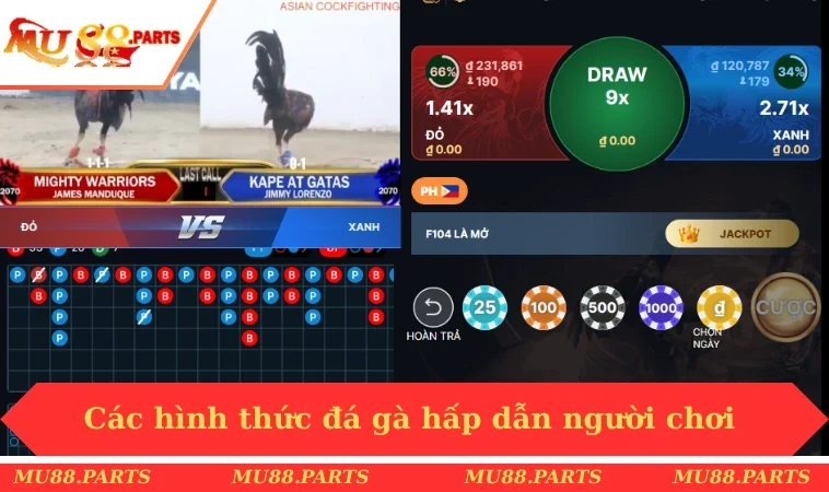 Các hình thức đá gà hấp dẫn người chơi 