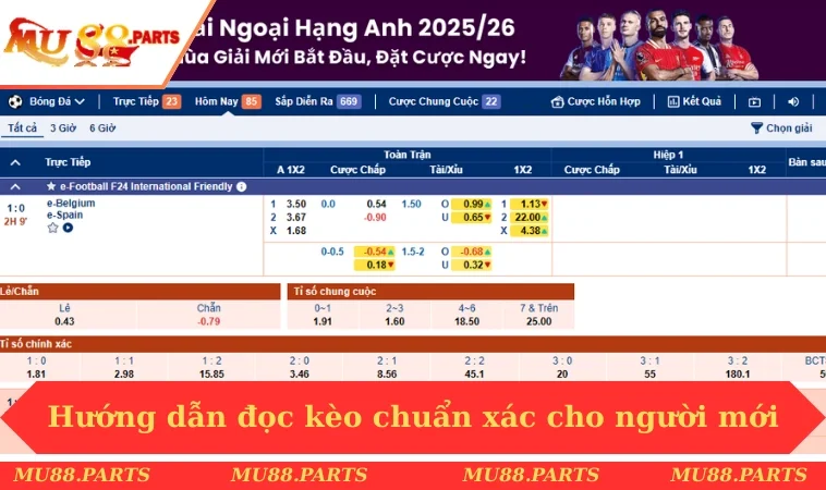 Hướng dẫn đọc kèo chuẩn xác cho người mới