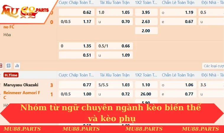 Nhóm từ ngữ chuyên ngành kèo biến thể và kèo phụ