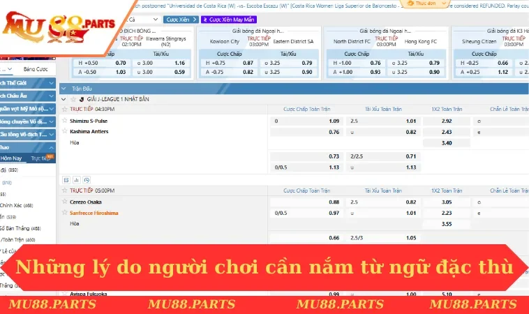 Những lý do người chơi cần nắm từ ngữ đặc thù